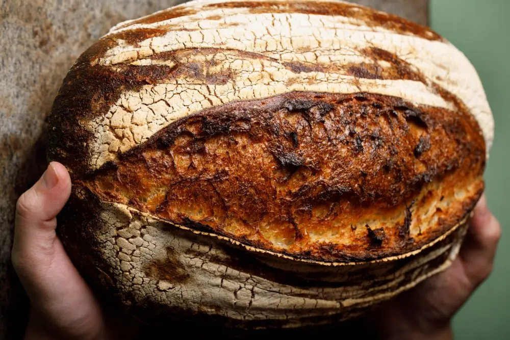 Farinha de trigo orgânica do Paraná é a preferida de chefs e padeiros do Brasil