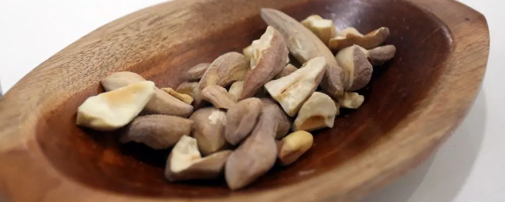 Castanha da Mata Atlântica, sapucaia começa a aparecer nas cozinhas brasileiras