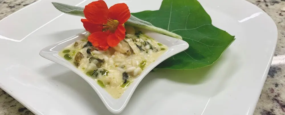 Com risoto de PANC, restaurante vence O Quilo é Nosso em disputa acirrada