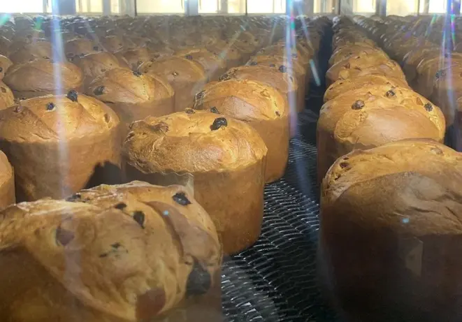 Panetones de frutas da Bauducco no forno. Foto: Divulgação