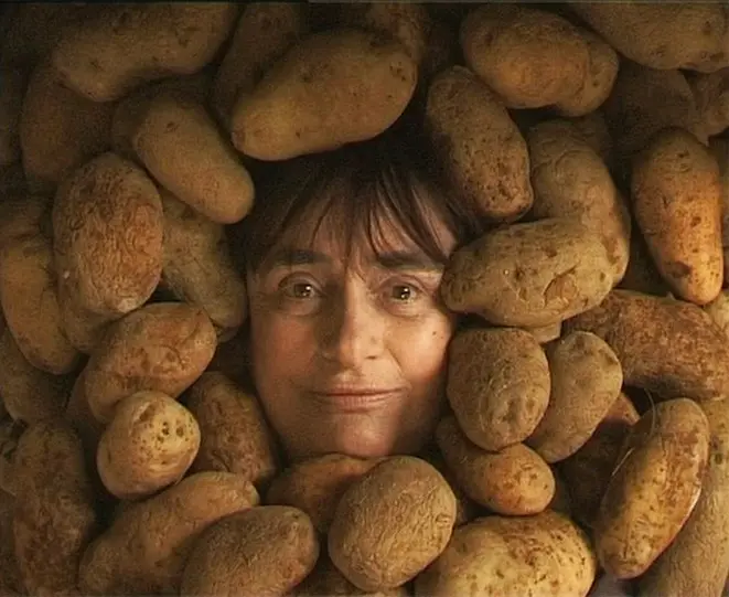 A cineasta franco-belga Agnès Varda. Foto: Reprodução Facebook