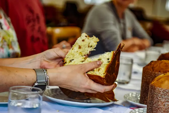 Um teste para saber se a fermentação formou uma boa rede de glúten é rasgar o panetone. Ele deve apresentar resistência, rasgando e não quebrando. Foto: Nay Klym/Gazeta do Povo
