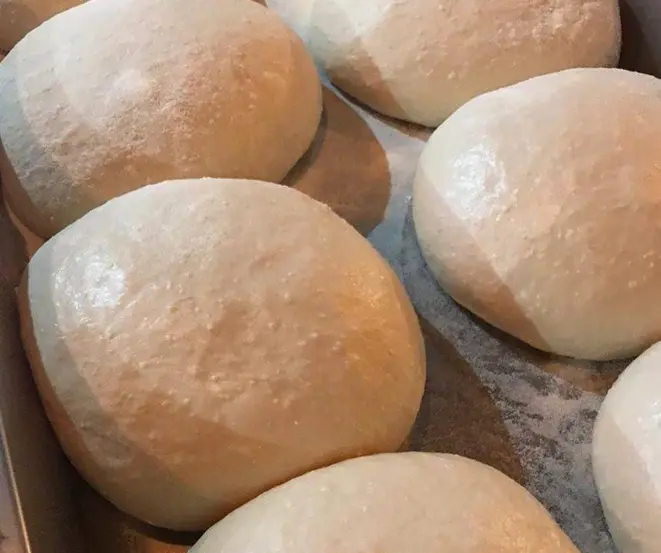 Massas boleadas, maturando, prontas para o formato de pizza.