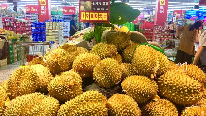 Durian é uma fruta exótica descrita como macia e soculenta. Proibida para consumo em lugares fechados pelo seu odor quase repulsivo. Entretanto, entre os chineses está na lista das queridinhas.