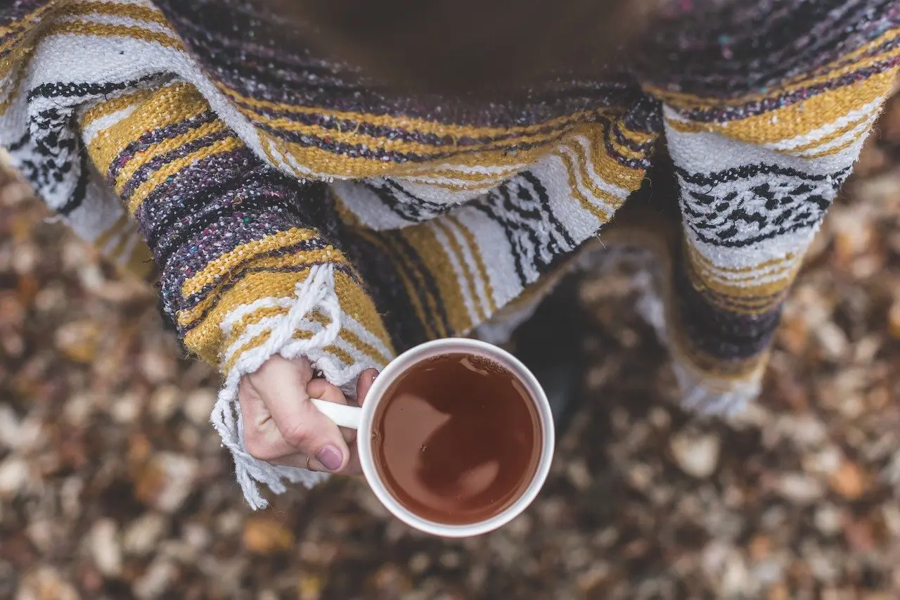 Chá-mate ganha dicionário sensorial com 39 atributos relativos à aparência, aroma, textura e sabor
