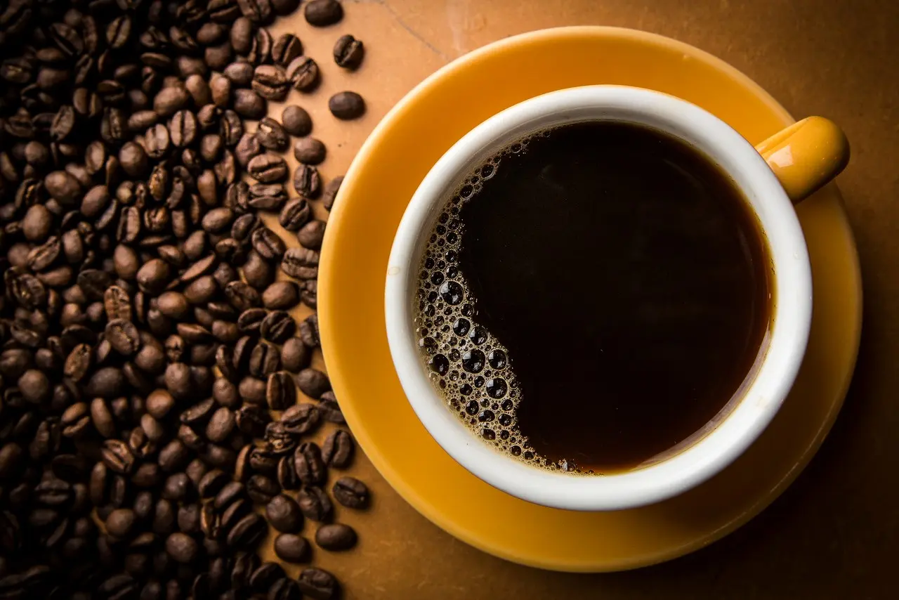 De commodity a café especial: Norte Pioneiro se destaca com produto de alta qualidade