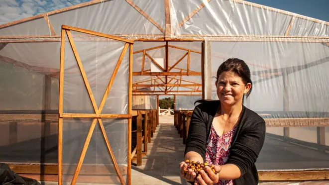 Maristela é uma das cafeicultoras do Norte Pioneiro que exportam seu produto para outros países. Foto: Projeto Mulheres Produzem