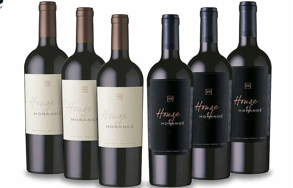 Degustação vertical da Morandé vai ter vinho até do século passado