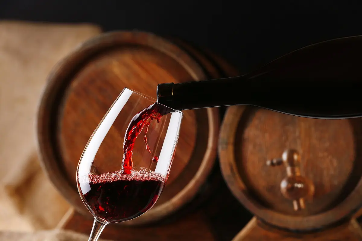O primeiro bebedor de vinho