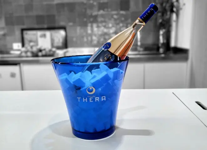 Os vinhos da Thera, de Santa Catarina, terão espaço especial para proposta de harmonização. | Foto: Anacreon de Téos