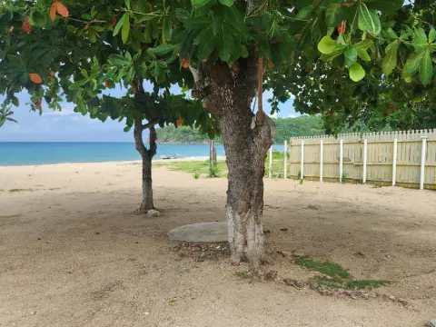 Sobre o tempo, o mar e o pomar