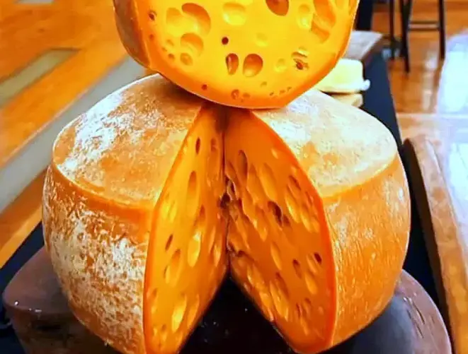 Queijo Figueira, maturado enrolado em folhas de figueira. Foto: Divulgação