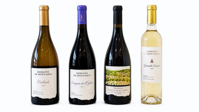 Quatro vinhos da <a href="https://domainedemontahuc.com/en/">Domaine de Montahuc</a> serão apresentados em degustação no Ile de France. | Foto: Mise en Place