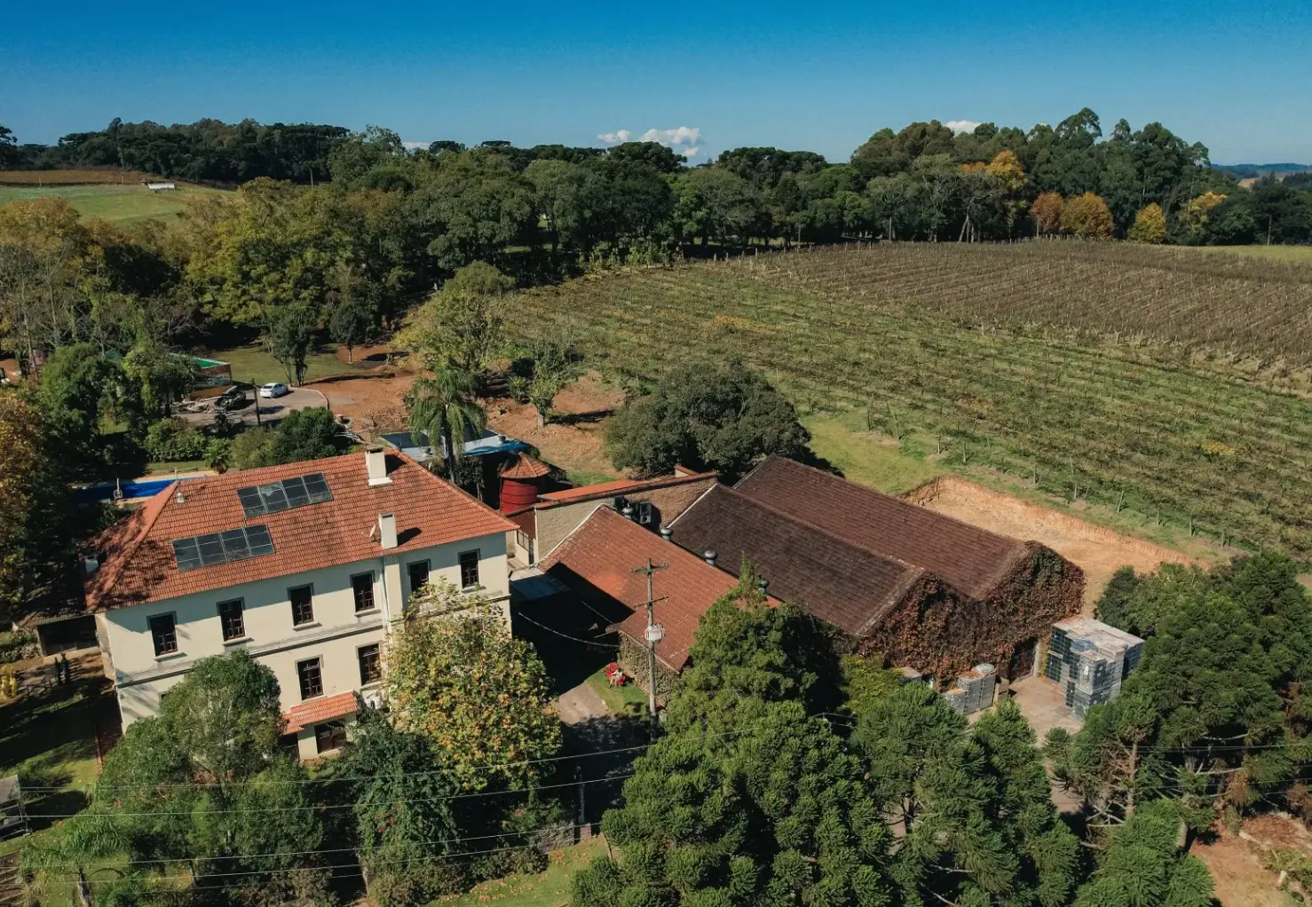 Nature: o restaurante que ajuda a contar a nova história de Pinto Bandeira