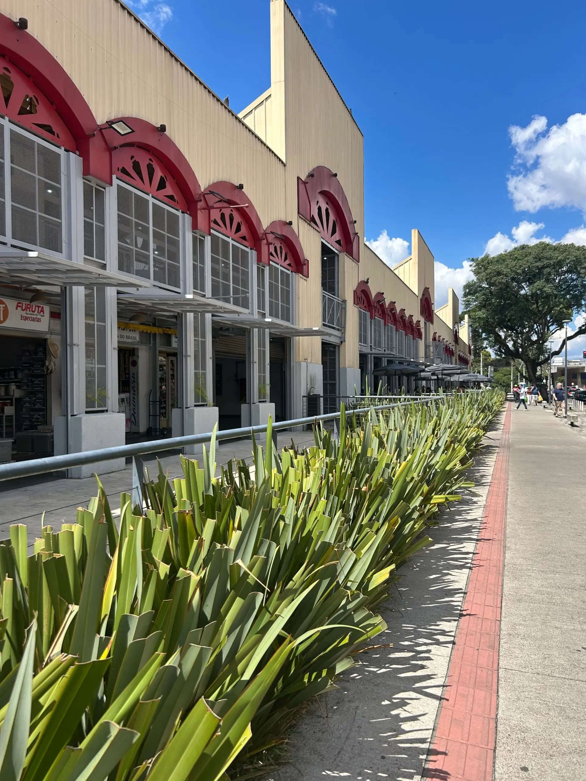 Mercado Municipal de Curitiba