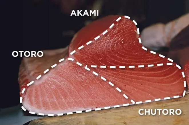 O corte lateral do bluefin e a divisão das partes na definição oriental. | Foto/Arte: Trapiche Pescados