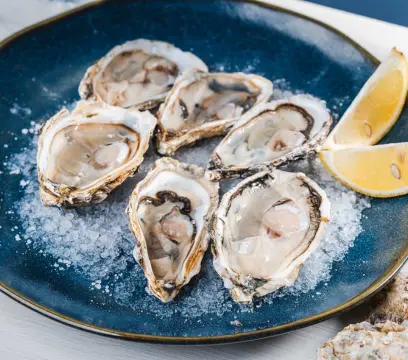 Terça das Ostras: Nacional Bar & Mar lança nova promoção